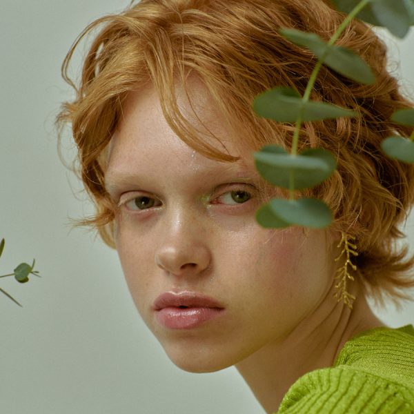 Edera - Image 2