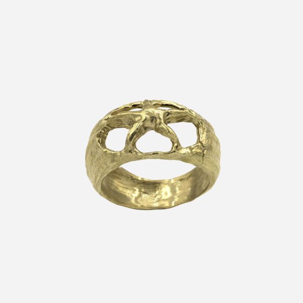Astro ring - immagine 5