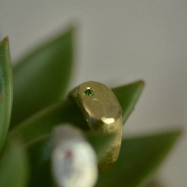 Signet - immagine 9